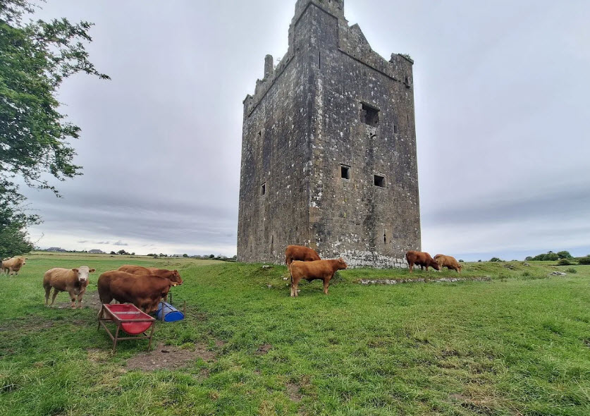 Isert Kelly Castle, Ireland